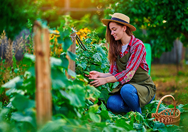 Sustainable agriculture practices